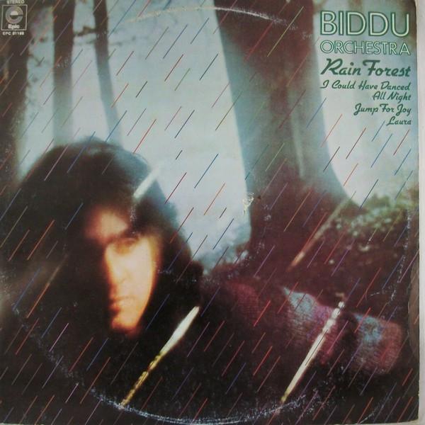 Biddu Orchestra - Rain Forest