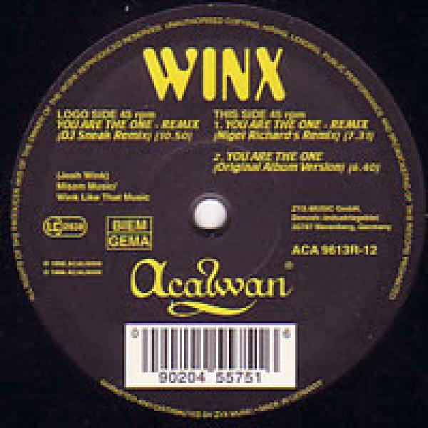 Josh Wink - You Are The One (Remix)