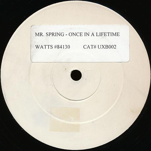 Mr. Spring - Once In A Lifetime