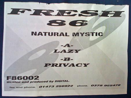 Natural Mystic - Lazy / Privacy
