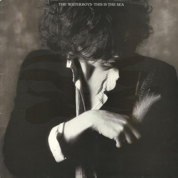 The Waterboys - This Is The Sea